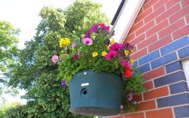 Alsager Station in bloom Alsager Station in bloom